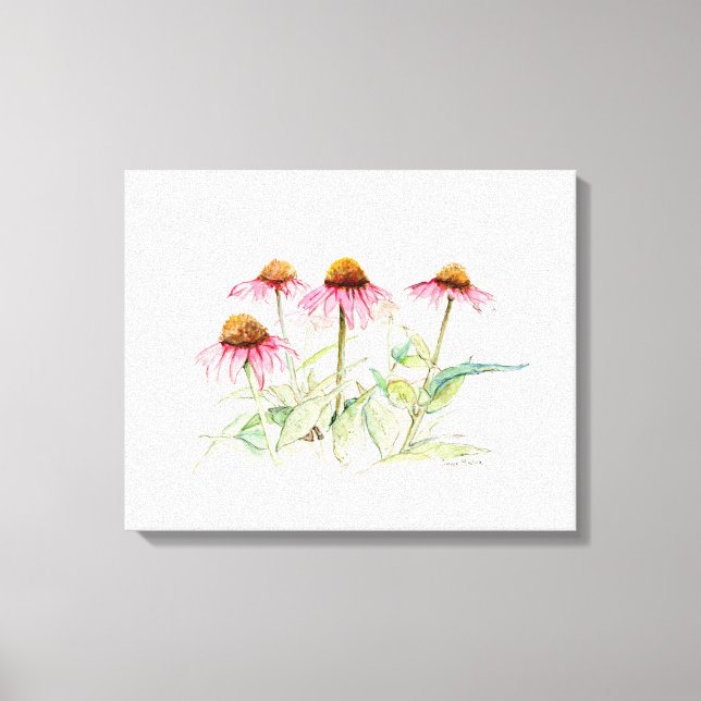 Coneflowers  canvas print (Front)