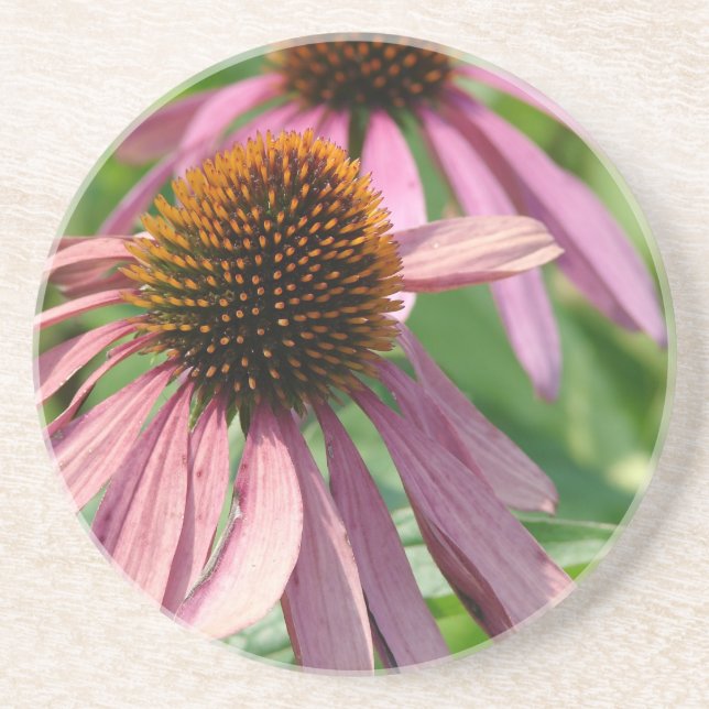 Coneflowers Coaster (Front)