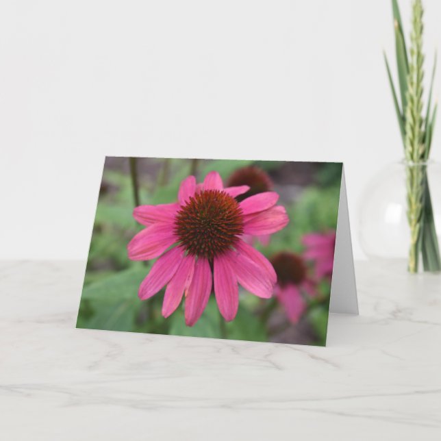 Coneflowers Greeting Card (Front)