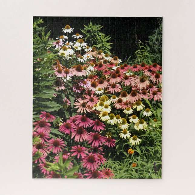 Coneflowers Jigsaw Puzzle (Vertical)