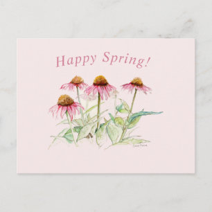 Coneflowers postcard