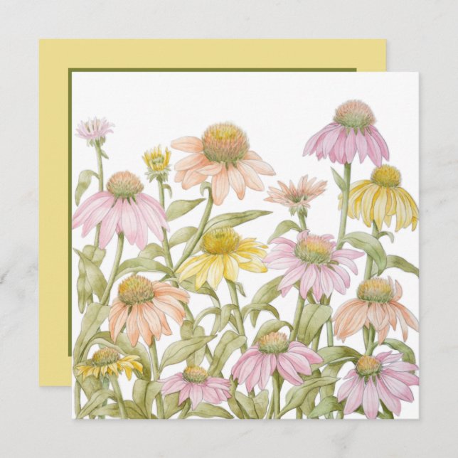 Coneflowers Watercolor Botanical Art Invitation (Front/Back)