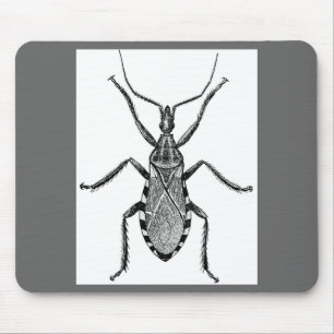 Conenose Bug - Vintage Mouse Pad
