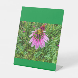 Cones Love Pedestal Sign