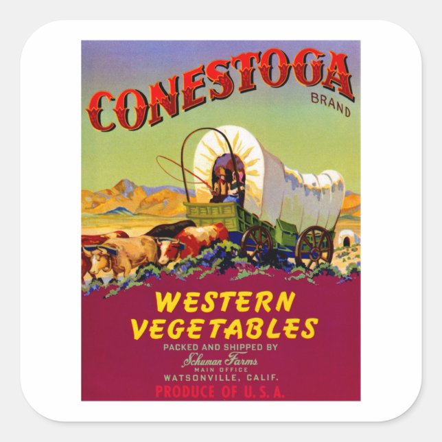 Conestoga Western Vegetables Square Sticker (Front)