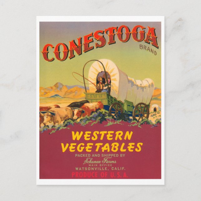 Conestoga Western Vegetables VIntage Crate Label Postcard (Front)