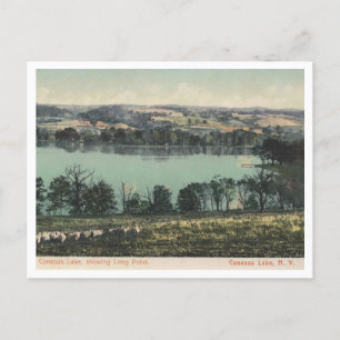 Conesus Lake NY, Long Point View 1905 Postcard