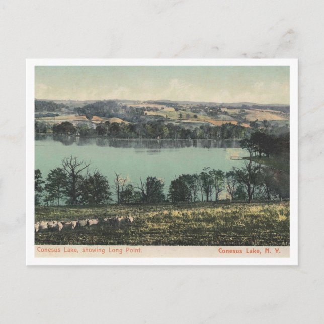 Conesus Lake NY, Long Point View 1905 Postcard (Front)