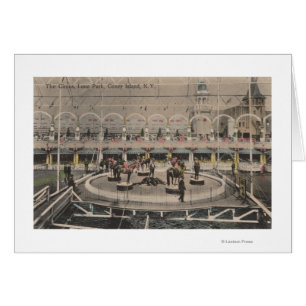 Coney Island, NY - Luna Park Circus Act