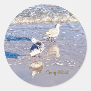 Coney Island Seagulls Classic Round Sticker