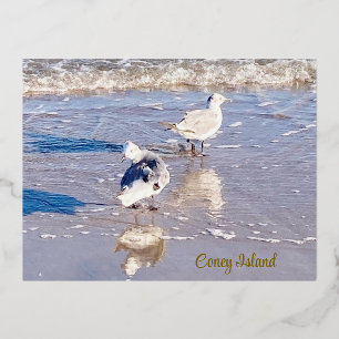 Coney Island Seagulls  Foil Holiday Postcard