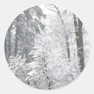 Confections in Snow --- Classic Round Sticker