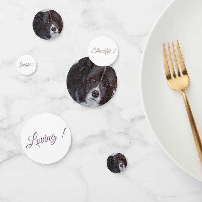Confettis Bordure noire Collie Chien Anniversaire (Groupe)