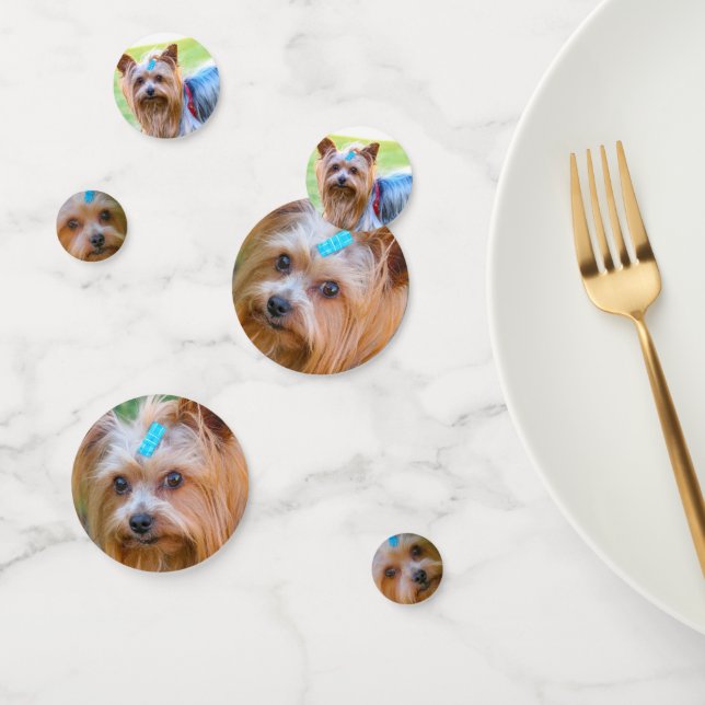 Confettis Cute Yorkshire Terrier Yorkie race préférée (Groupe)