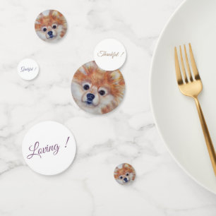 Confettis Fluffy Pomeranian Chiot Anniversaire