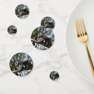 Confettis L'ours Koala australien,