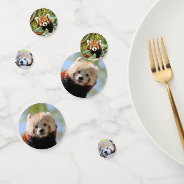 Confettis Panda rouge (Groupe)