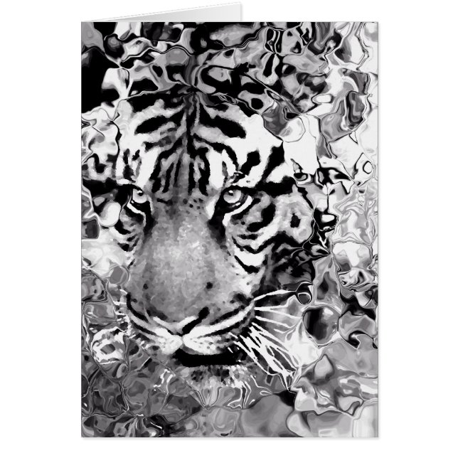 Confiance _ (Devant)