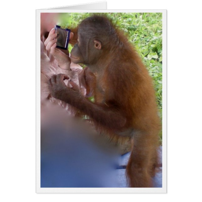 Confiance en soi et fierté (Devant)