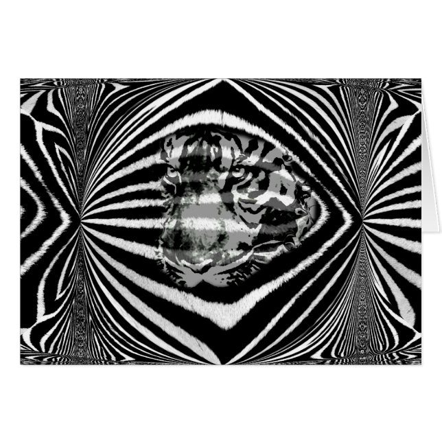 Confidence_ (Front Horizontal)