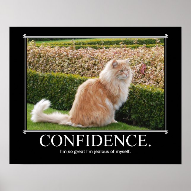 Confidence Cat Artwork Funny Poster (Front)