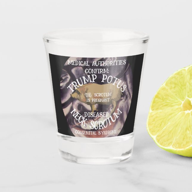CONFIRMED TRUMP'S NECK SCROTUM IS PREGNANT SHOT GLASS (Front)
