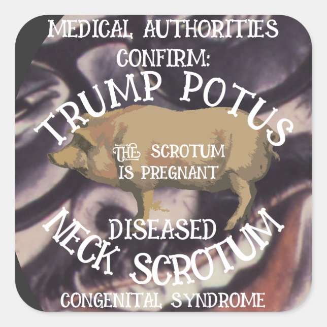 CONFIRMED TRUMP'S NECK SCROTUM IS PREGNANT SQUARE STICKER (Front)