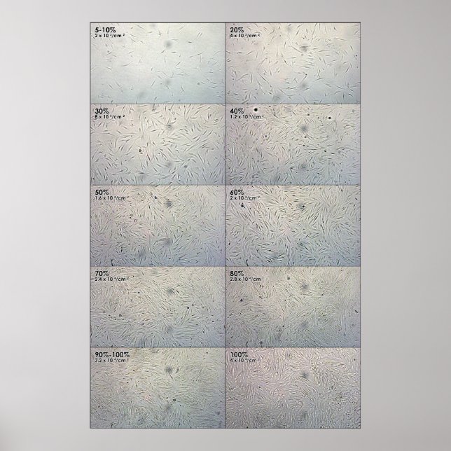 Confluence follow-up Chart (Front)