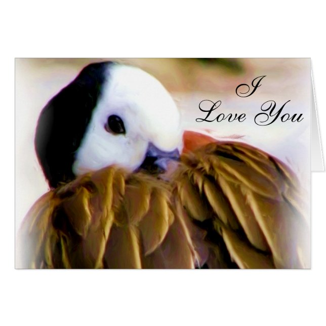 Confort de l'amour_ (Devant horizontal)