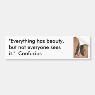 Confucius 1 bumper sticker
