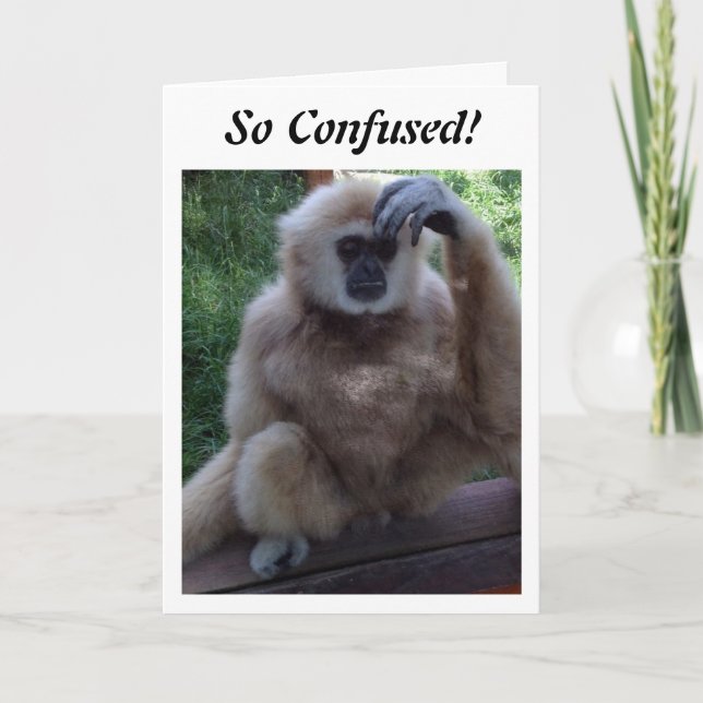 CONFUSÉ DE VOIR COMMENT VOUS REGARDEZ SUR LA CARTE (Devant)