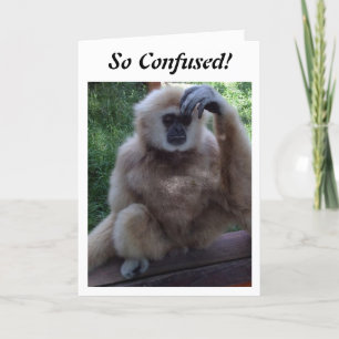 CONFUSÉ DE VOIR COMMENT VOUS REGARDEZ SUR LA CARTE