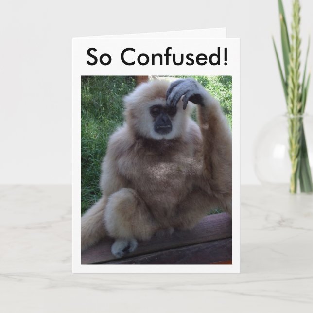 CONFUSED AT HOW YOU LOOK SO GOOD-BIRTHDAY CARD (Front)