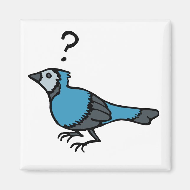 Confused Bird Magnet (Front)