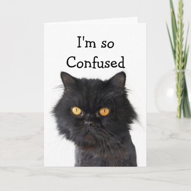 Confused Black Persian Cat Happy Birthday Card (Front)