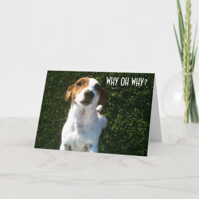 CONFUSED JACK RUSSELL "40th" BIRTHDAY Card (Front)
