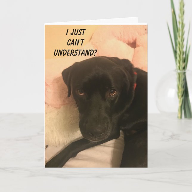 "CONFUSED LAB" JUST CAN'T BELIEVE YOU'RE 70! CARD (Front)