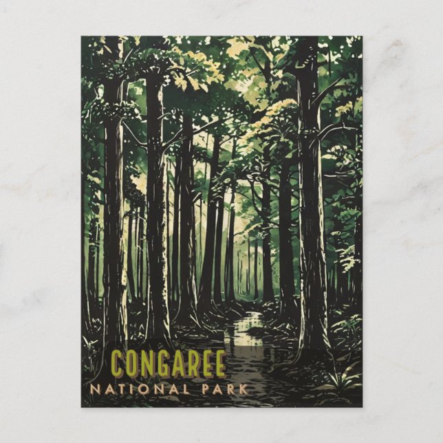 Congaree National Park Postcard (Front)