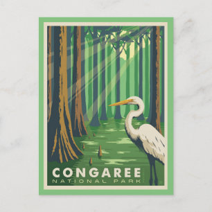 Congaree National Park SC Postcard