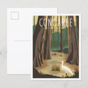 Congaree National Park South Carolina Illustration Postcard