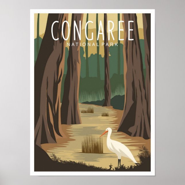 Congaree National Park South Carolina Illustration Poster (Front)
