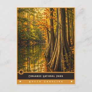 Congaree National Park Vintage Postcard