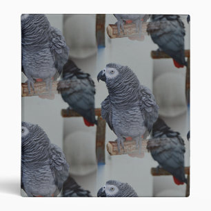 Congo African Grey Parrot in Mirror Binder