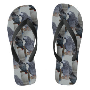 Congo African Grey Parrot in Mirror Flip Flops