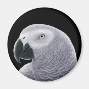 Congo African Grey Parrot Magnet