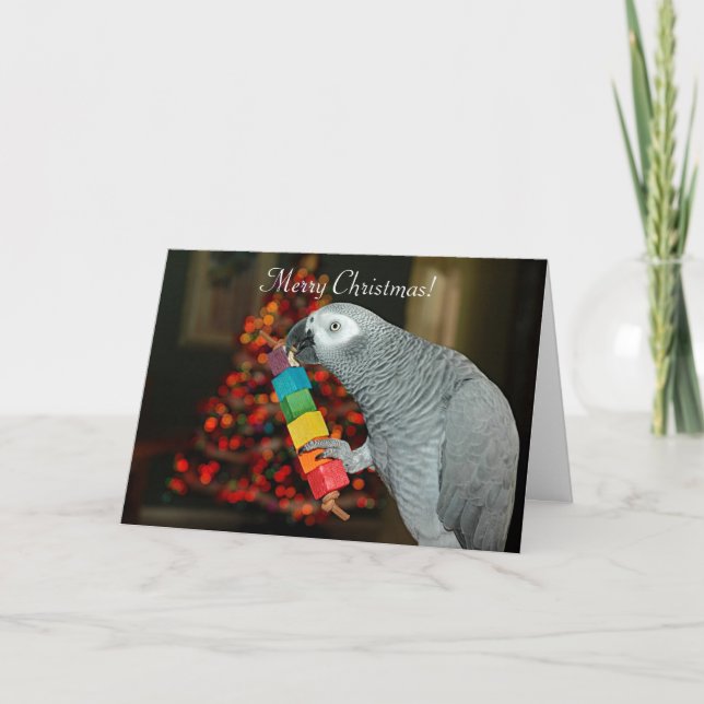 Congo African Grey Parrot Merry Christmas Tree Card (Front)