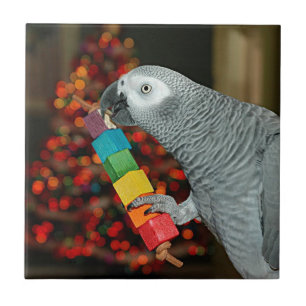 Congo African Grey Parrot Merry Christmas Tree Tile