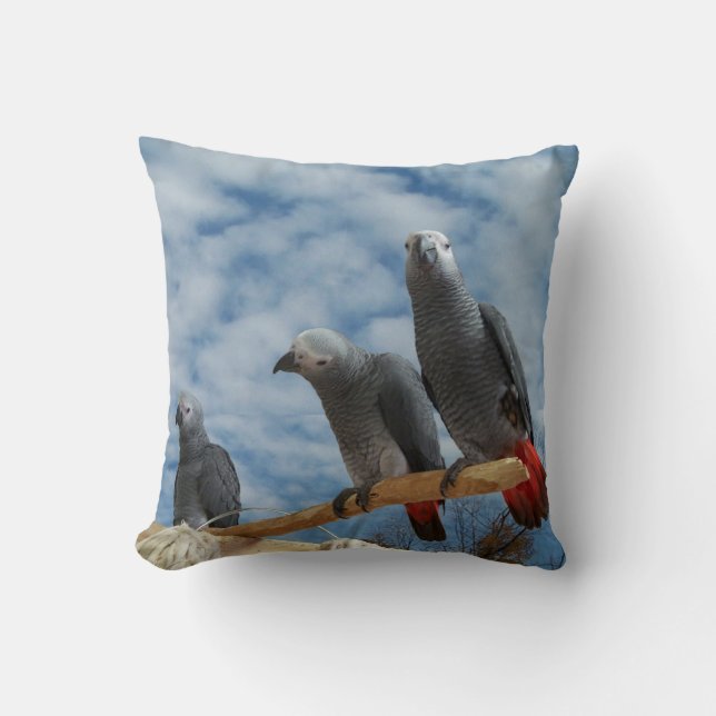 Congo African Grey Parrot Throw Pillow (Front)