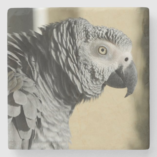 Congo African Grey Parrot with Ruffled Feathers Stone Coaster (Front)