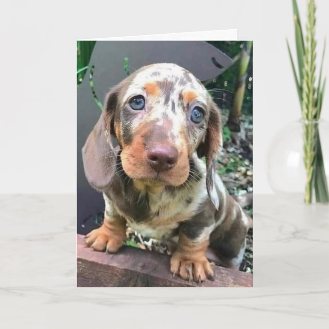 *CONGRATS ON NEW JOB/WILL MISS YOU* CARD (Front)